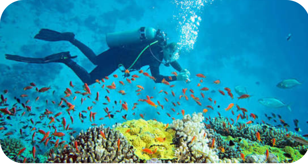 Scuba diving at North Bay Island in Port Blair